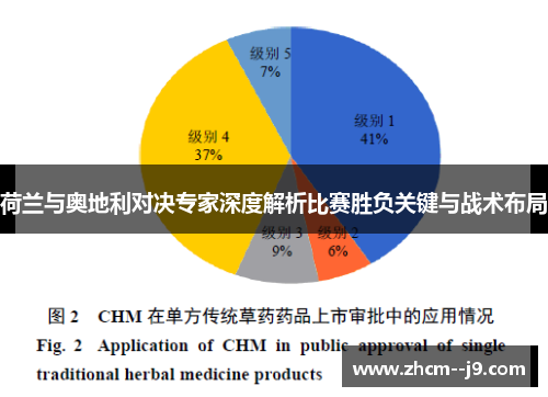 荷兰与奥地利对决专家深度解析比赛胜负关键与战术布局