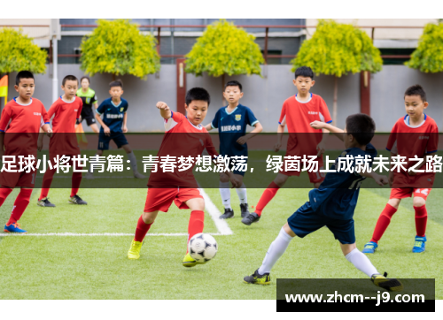 足球小将世青篇：青春梦想激荡，绿茵场上成就未来之路