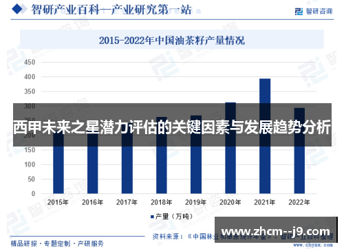 西甲未来之星潜力评估的关键因素与发展趋势分析